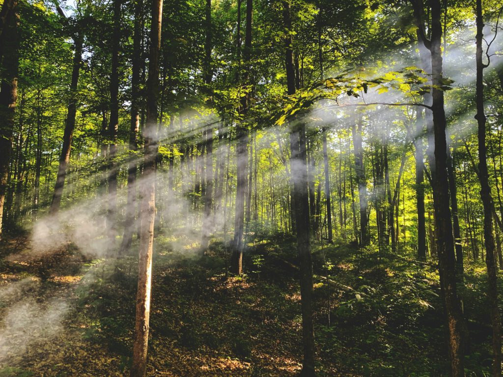 Hypnose gegen Stress